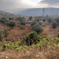Jabaa to Battir