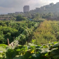 Jabaa to Battir