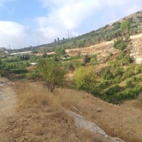 Jabaa to Battir