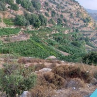 Jabaa to Battir