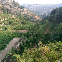 Jabaa to Battir