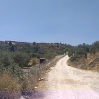 Battir to Artas