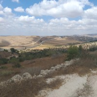 Beit Mirsim to Al Kom
