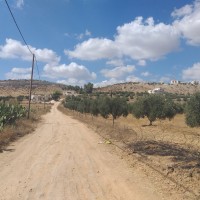 Beit Mirsim to Al Kom