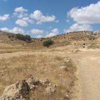 Beit Mirsim to Al Kom