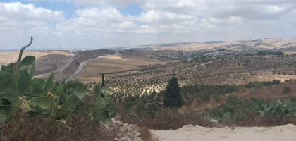 Beit Mirsim to Al Kom