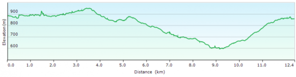 تقيم المقطع